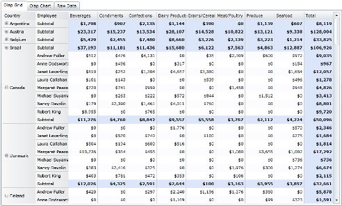 OLAP1